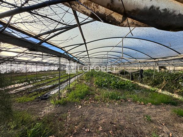 Achat terrain Baho - 4 pièce(s) - 85 m² - 404 000 €