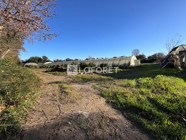 Achat terrain Baho - 4 pièce(s) - 85 m² - 404 000 €