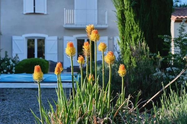 Maison Familiale Indépendante avec Piscine et Jardins, à Proximité du Centre Ville