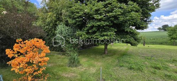 "VISITE VIRTUELLE DISPONIBLE SUR DEMANDE"

Maison de plain-pied – 102 m² sur terrain arboré de 1 800 m²

Découvrez cette agréable maison de plain-pied de 102 m², située dans un environnement calme et verdoyant, à seulement quelques pas du centre-bourg et de toutes les commodités accessibles à pied et à 5min de Josselin.

Elle se compose d’une grande et lumineuse pièce de vie avec cuisine aménagée et équipée ouverte, idéale pour les moments en famille ou entre amis.
Vous trouverez également 3 chambres, une salle de bains avec baignoire et douche, un WC indépendant, ainsi qu’une buanderie pratique au quotidien.

Chauffage poêle à bois en principale suffit à chauffer toute la maison, vous disposez de convecteurs en complément si vous le souhaitez. Double vitrage, baie avec volet électrique.

Un grenier aménageable offre un beau potentiel d’agrandissement selon vos envies.

À l’extérieur, vous profiterez d’un magnifique terrain fleuri de 1 800 m², agrémenté de nombreux arbres fruitiers (pommes, poires, cerises, nectarines, prunes, kiwis, pèches, figues, vignes, abricots) parfait pour les amoureux de nature et de jardin, le petit plus un puits.

Un garage indépendant d’environ 25 m² complète ce bien.

À proximité immédiate : épicerie, boulangerie de qualité, pharmacie, médecin, kinésithérapeute, dentiste, école… tout est accessible à pied pour un confort de vie optimal.

Une maison chaleureuse et fonctionnelle, idéale pour une famille ou pour profiter d’une vie paisible à la campagne avec toutes les commodités à portée de main.