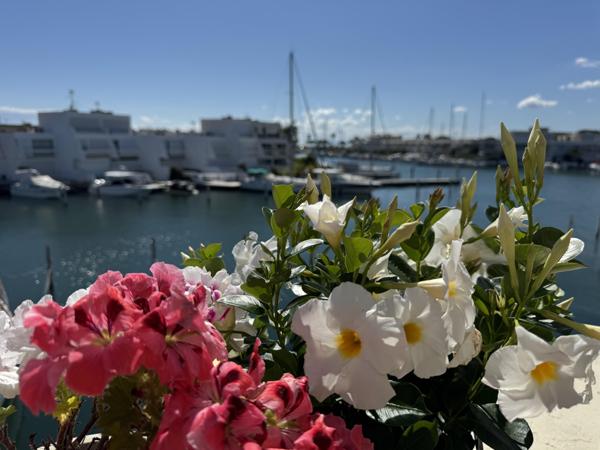 Vente / Appartement T4