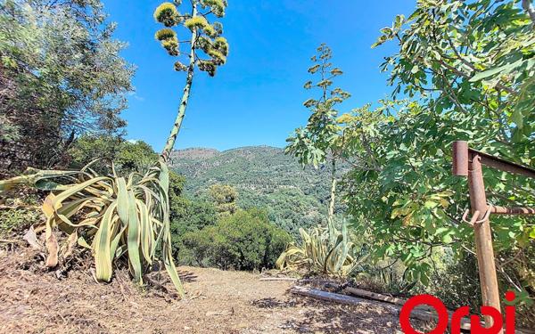 Terrain à vendre    Castagniers