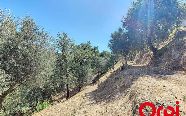 Terrain à vendre    Castagniers