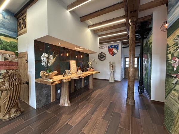 MANOIR SECTEUR BAR-SUR-AUBE
