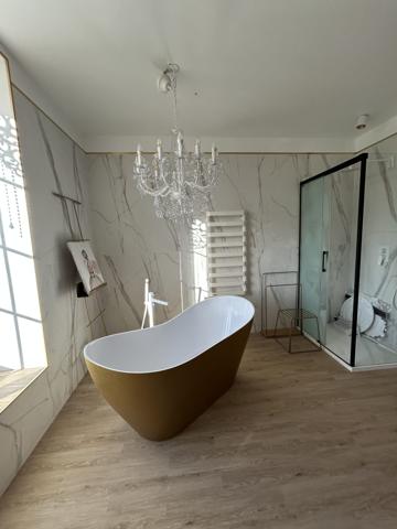 MANOIR SECTEUR BAR-SUR-AUBE