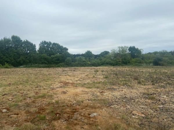 Terrain Challans 3770m2