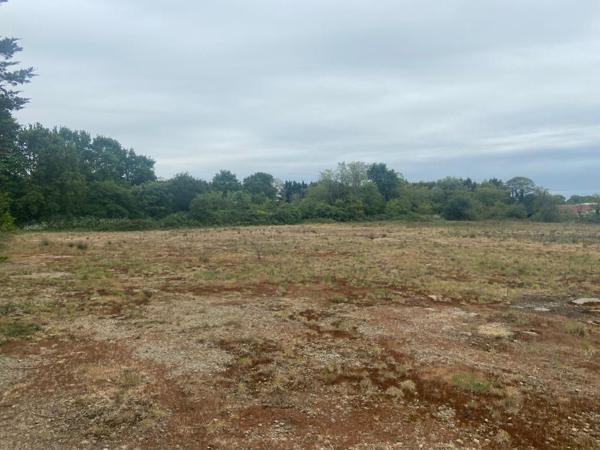 Terrain Challans 3770m2