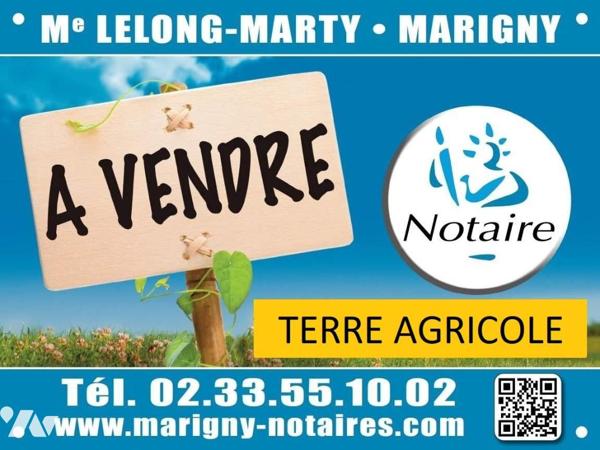 Vente d'un ensemble de parcelles agricoles louées