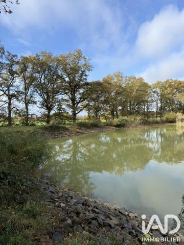 Terrain à vendre 72 531 m² Paulnay