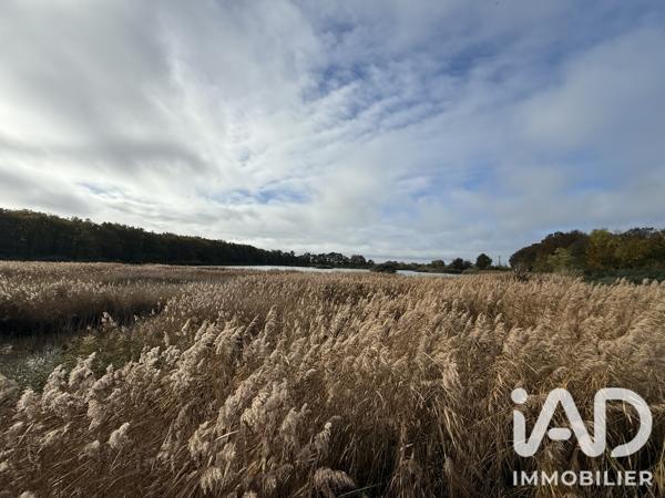 Terrain à vendre 72 531 m² Paulnay