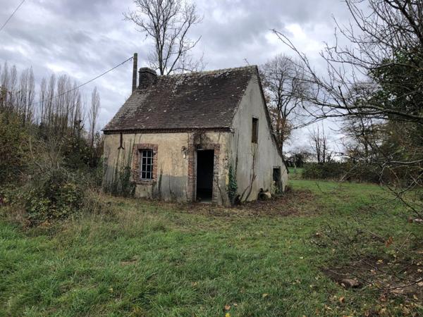 Petite maison à rénover sur grand terrain