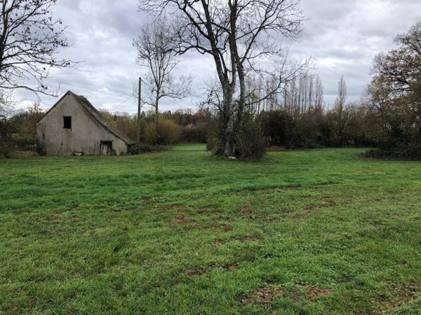 Petite maison à rénover sur grand terrain