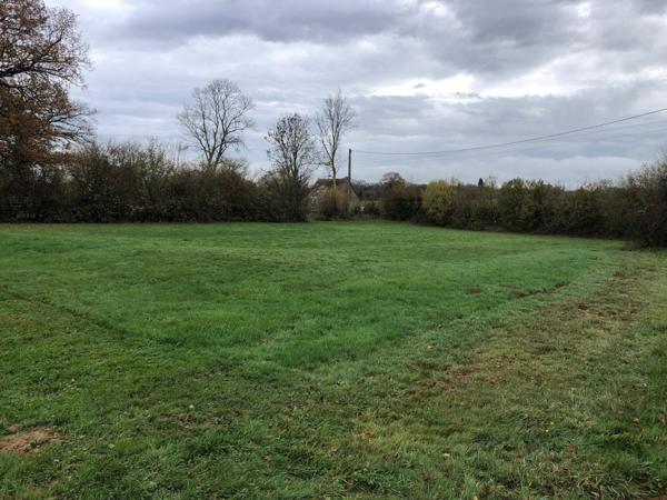 Petite maison à rénover sur grand terrain
