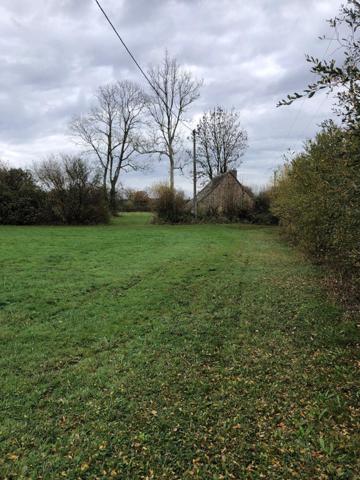 Petite maison à rénover sur grand terrain