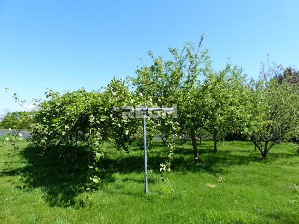 Fouesnant (29170) Terrain de 1053 m2 proche bourg