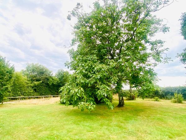 Agréable maison à rénover - Secteur recherché - 4 Chambres - Grenier aménagé - Sous sol avec garage.