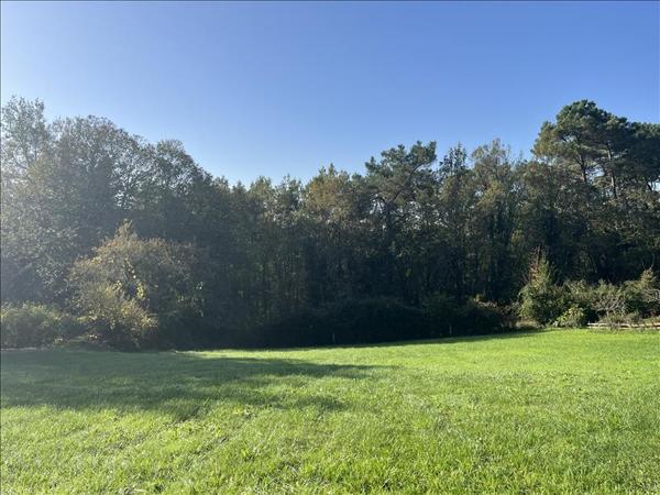 Terrain à vendre |  Domme |  1331 m²