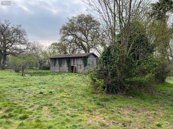 Maison à restaurer à vendre à Losse dans les Landes (40240), ref : 40009-1067487