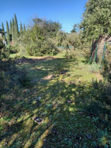 Terrain 666 m2 Le Cannet Des Maures La Pardiguière