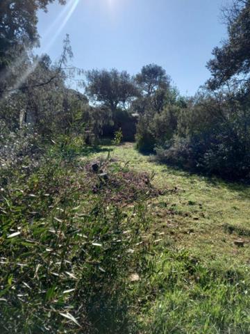 Terrain 666 m2 Le Cannet Des Maures La Pardiguière