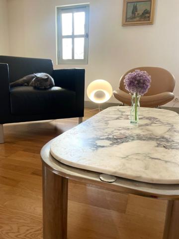 Carpentras (84200) Superbe appartement proche de la Mairie