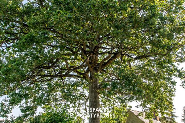 Maison de maître fin du XVIII ème siècle, réhabilitée