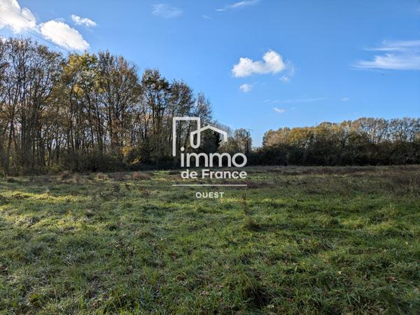 Maison à 10 mn d'Angers terrain 22 000 m²