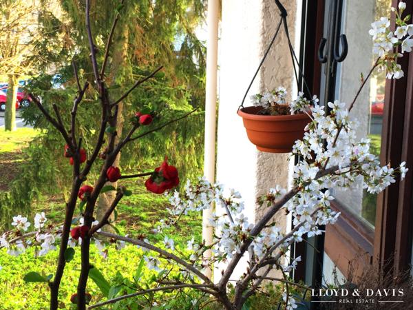 Cocon Lumineux & Design à Soisy : 72m² Clé en Main avec Balcon