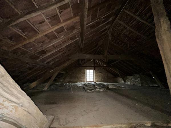 Maison à vendre 11 pièces LES GRANDS CHEZEAUX (87)