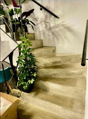 maison avec jardin piscine calme lumineuse