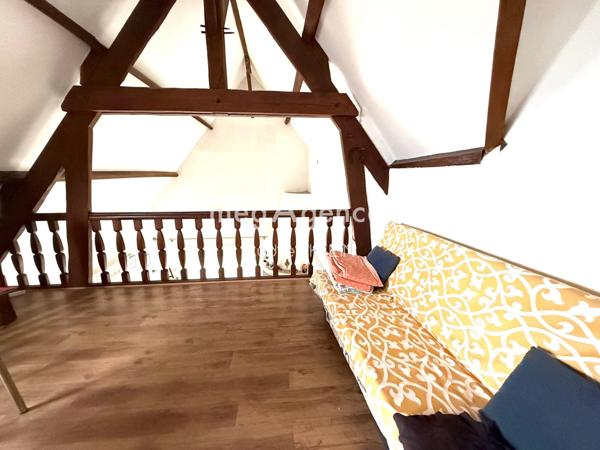 Maison à VILLENEUVE-SUR-YONNE, 89500 - 6 pièces 210m²