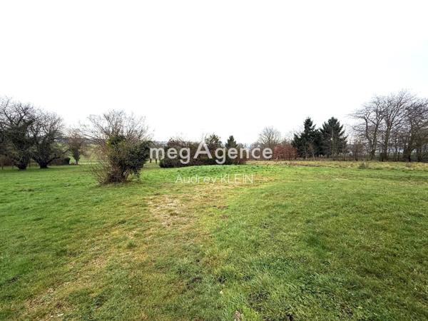 Maison à VILLENEUVE-SUR-YONNE, 89500 - 6 pièces 210m²