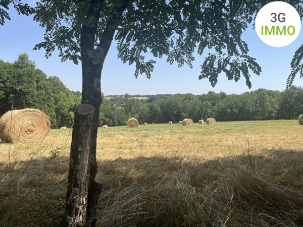 Vente / Maison et grand terrain