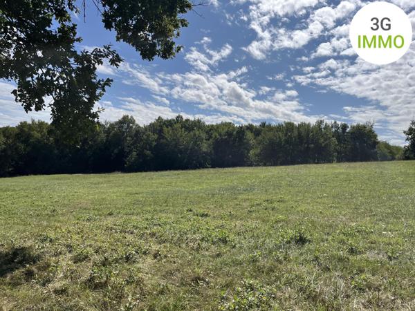 Vente / Maison et grand terrain