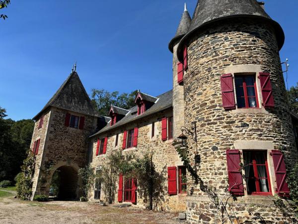 Magnifique chateau, 12 chambres, Plus 3 gites, Lac, verger, foret, 12 hectares.