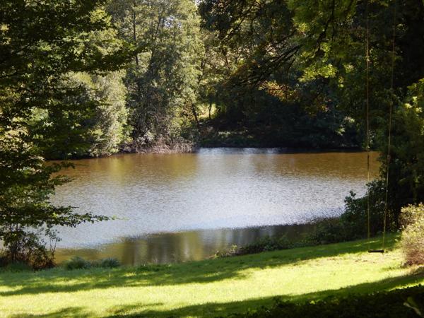 Magnifique chateau, 12 chambres, Plus 3 gites, Lac, verger, foret, 12 hectares.