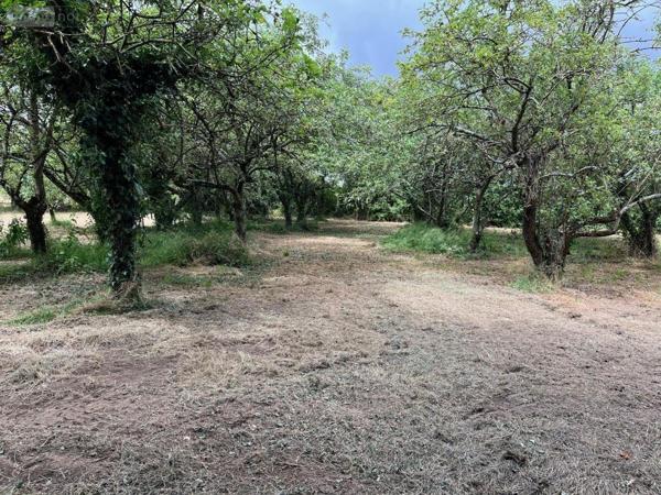 Maison à vendre à Teillé dans la Sarthe (72290), ref : 72126-2912