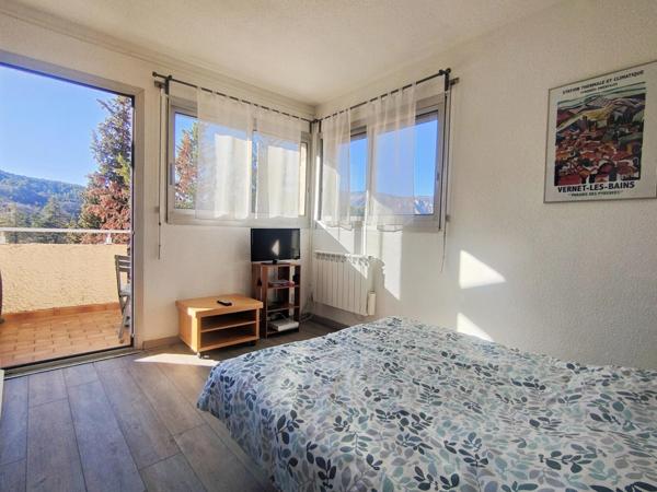 Grand studio avec terrasse et vue dégagée