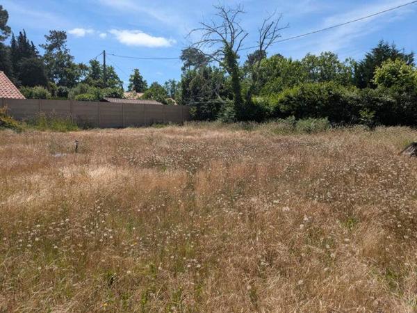 Terrain à vendre |  Arès |  550 m²