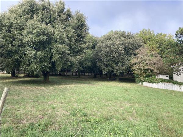 Terrain à vendre |  Meschers-sur-Gironde |  2599 m²