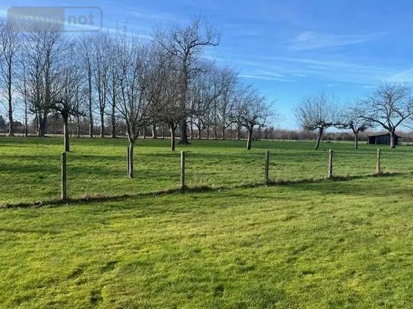 Achat - Maison Équemauville 14600 5 pièces 137 m 2 14501 m 2