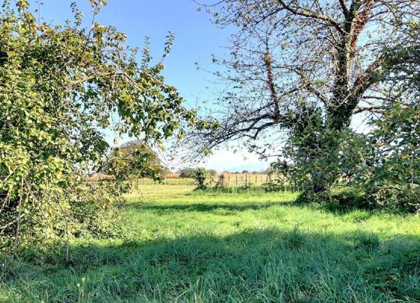 Maison à vendre    4 pièces •  Pardies-Piétat