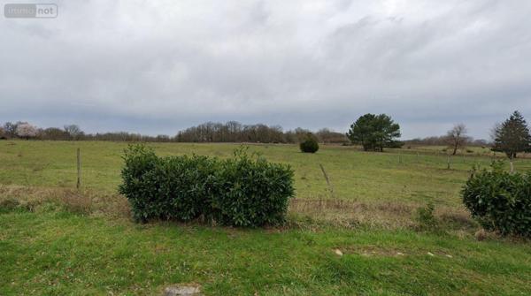 Terrain à Batir à vendre à Faverolles-sur-Cher dans le Loir-et-Cher (41400), ref : 12101/1221