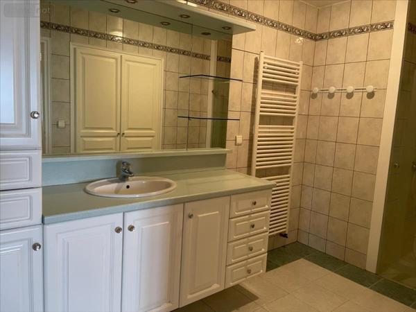 Maison individuelle à louer à Mondoubleau dans le Loir-et-Cher (41170), ref : 41050-1037281