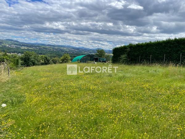 Achat terrain Bas-en-Basset - 530 m² - 65 000 €