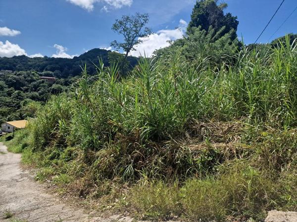 Terrain  585 m2