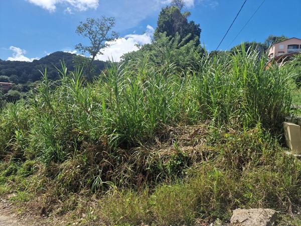 Terrain  585 m2