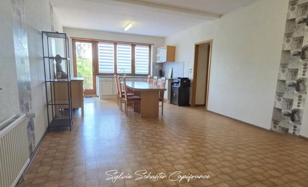 Maison à vendre 10 pièces ROUHLING (57)