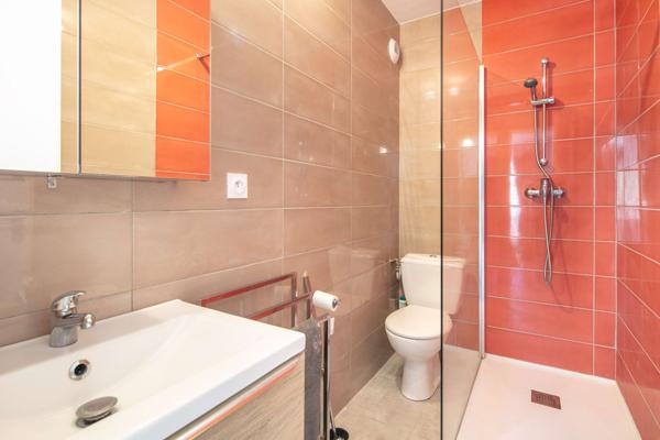 Appartement t3 + appartement t1 + 2 casiers à skis