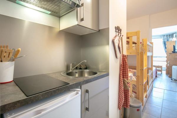 Appartement t3 + appartement t1 + 2 casiers à skis